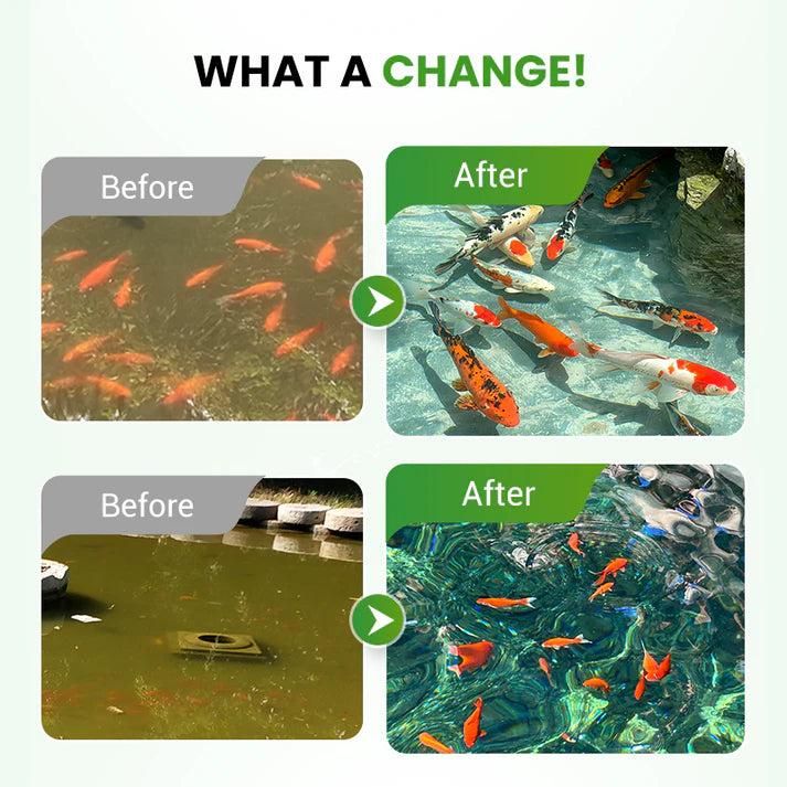 Water Conditioning Powder for Ponds